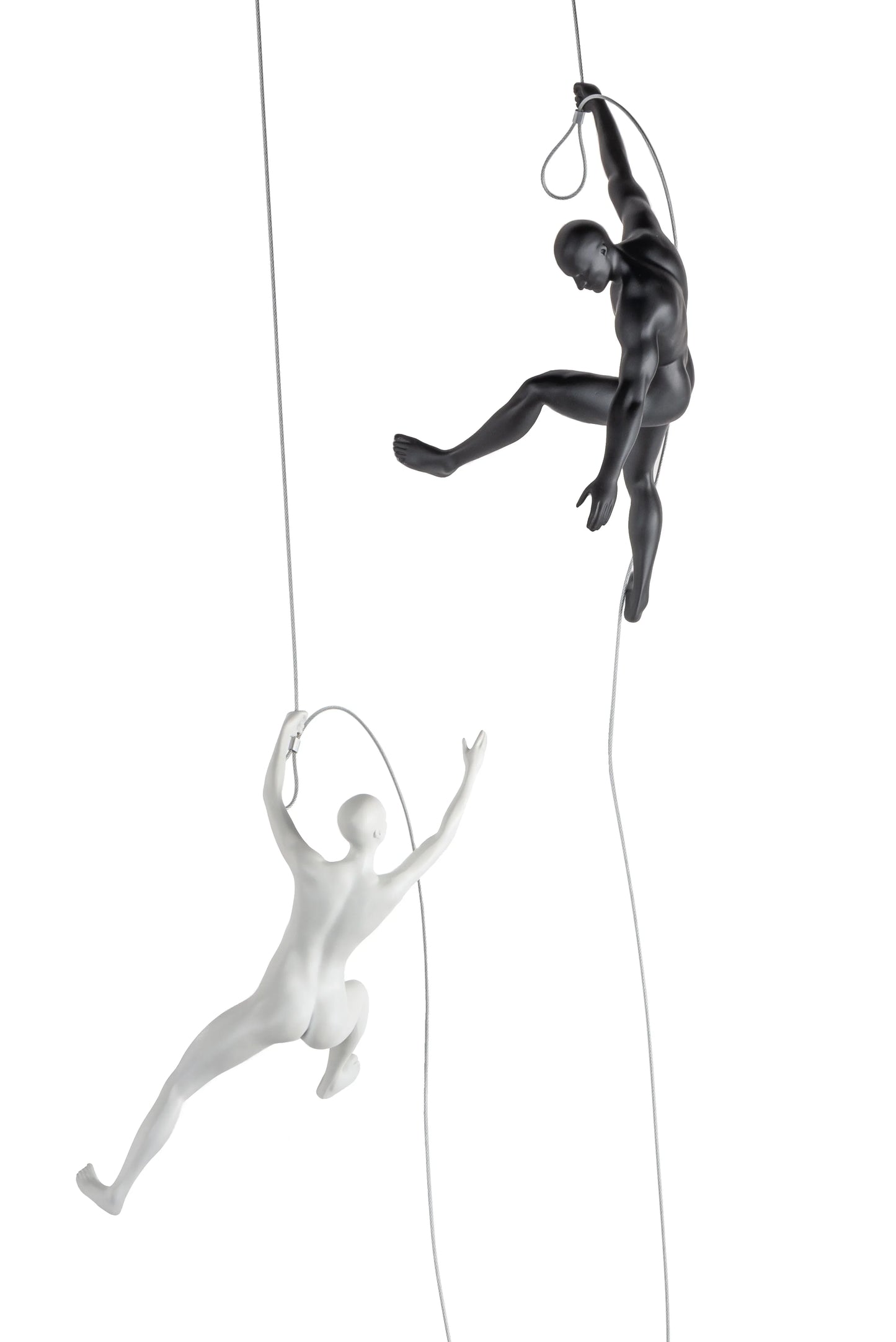 CLIMBING WALL DECOR COLLECTION