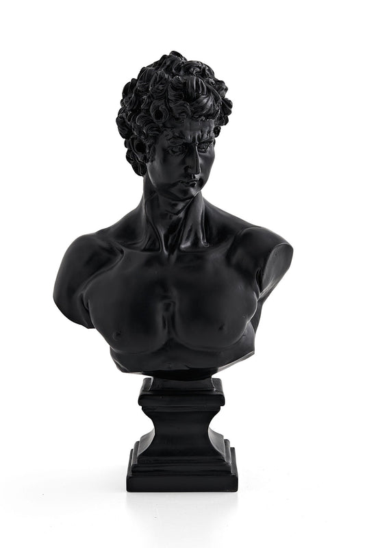 Buste de David