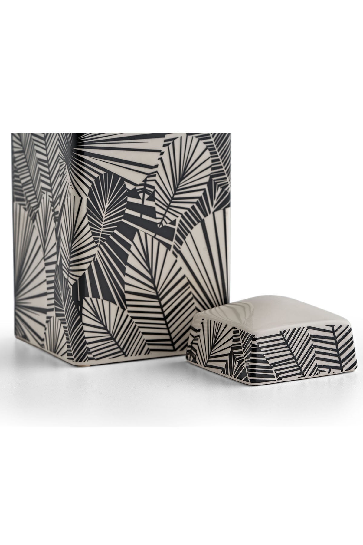 Black White Cube