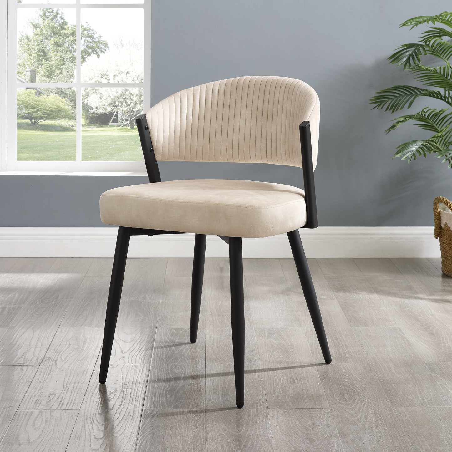 Chaise de salle à manger Maria en velours crème courbé avec cadre en métal noir