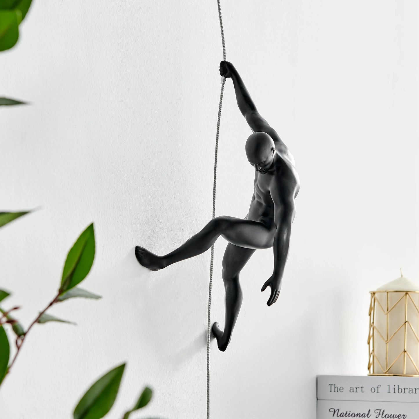CLIMBING WALL DECOR COLLECTION