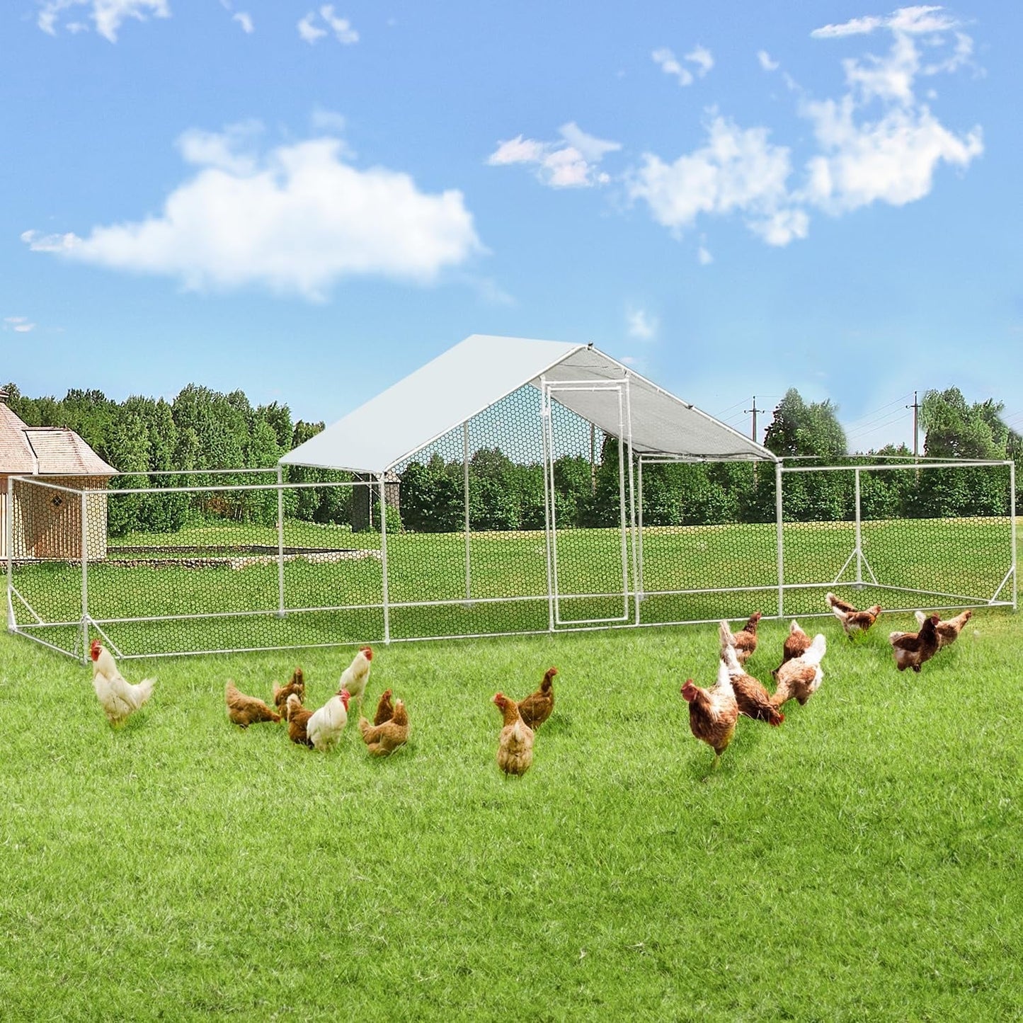 AECOJOY Grand poulailler en métal avec cage à poulets en métal