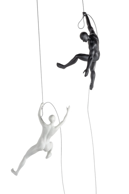 CLIMBING WALL DECOR COLLECTION