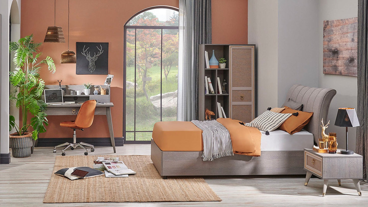 Bibliothèque Hector Young