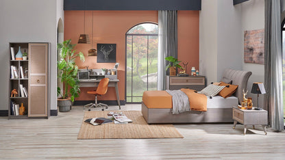 Bibliothèque Hector Young