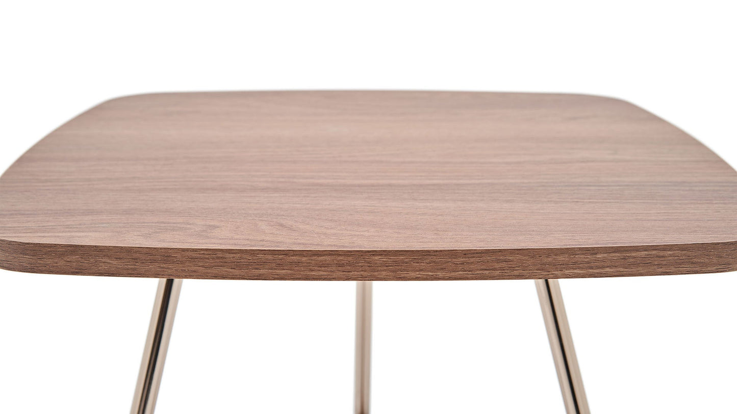 Brita Coffee Table Oak