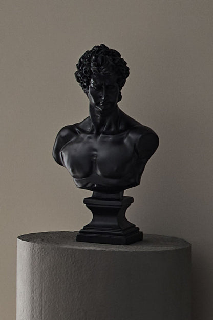 Buste de David