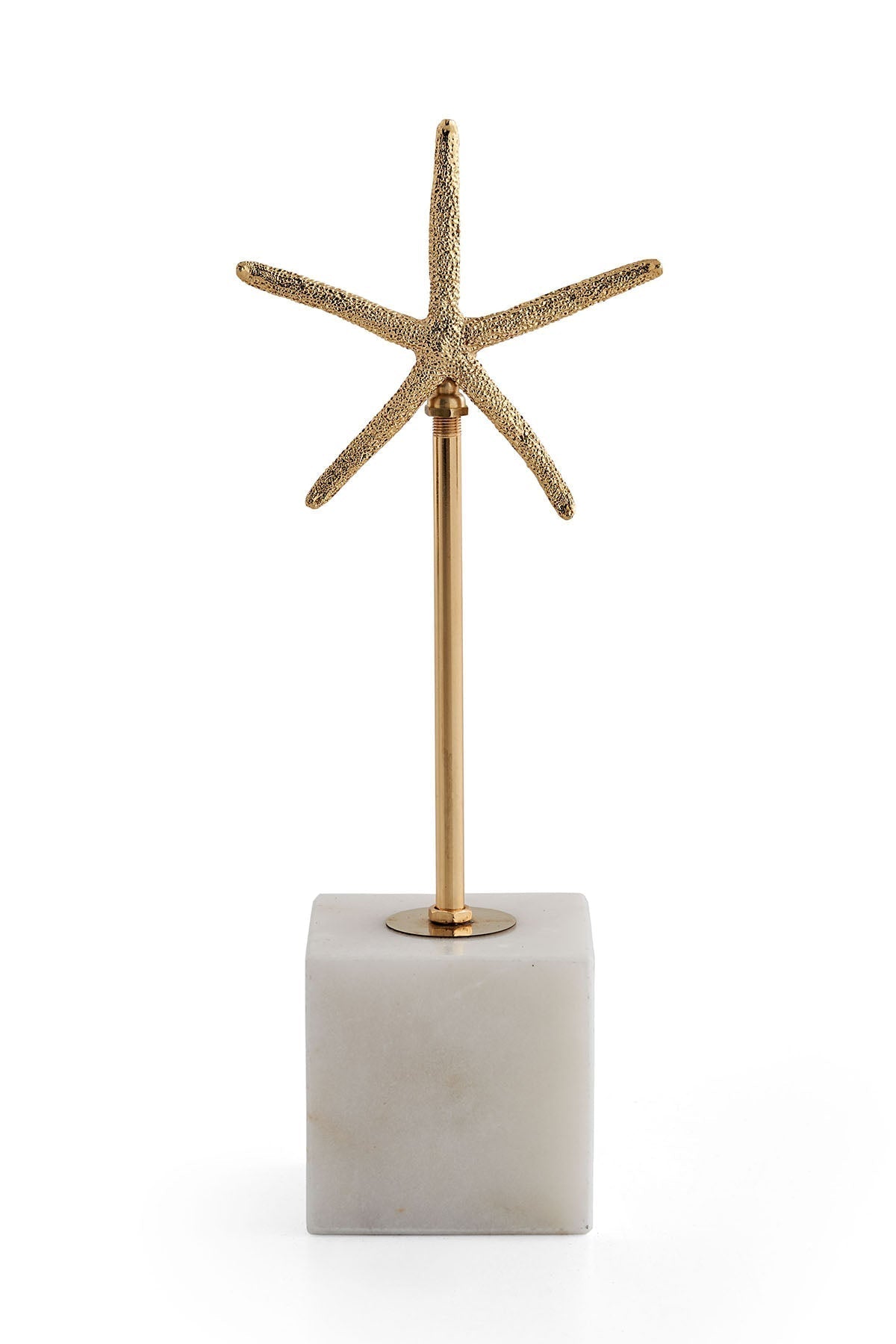 Étoile de mer Gros objet
