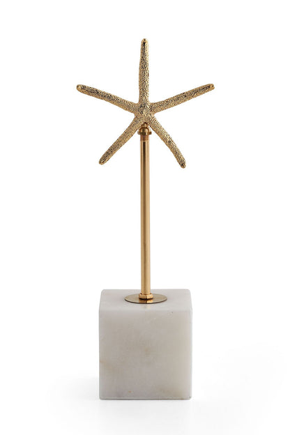 Étoile de mer Gros objet