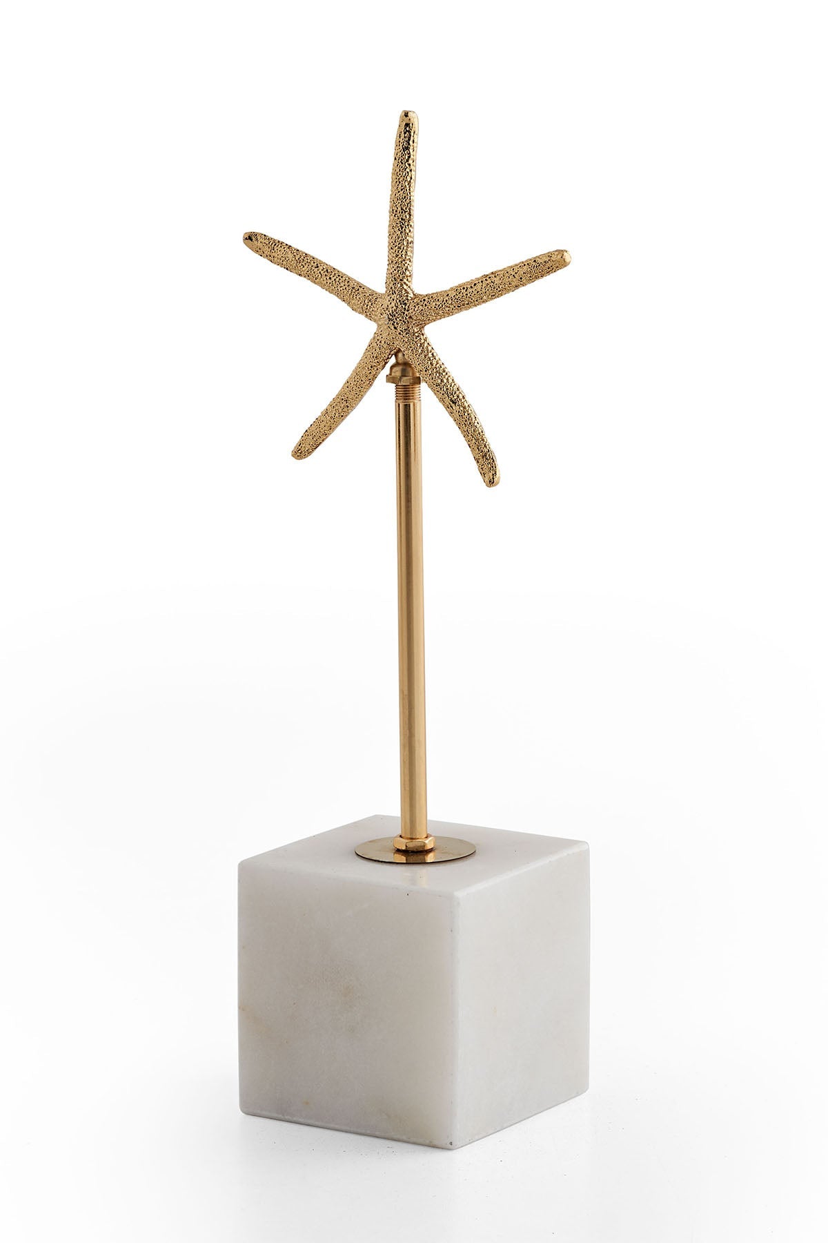 Étoile de mer Gros objet