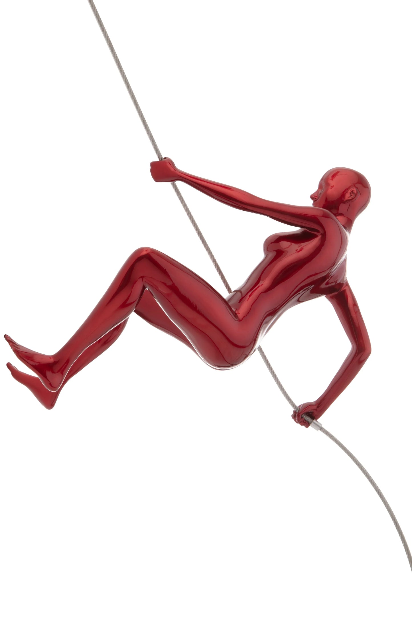 CLIMBING WALL DECOR COLLECTION