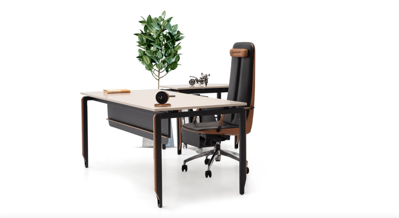 COLLECTION DE BUREAU ZOOM