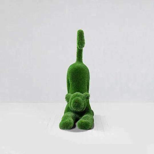 Grass Baby Lion Topiary