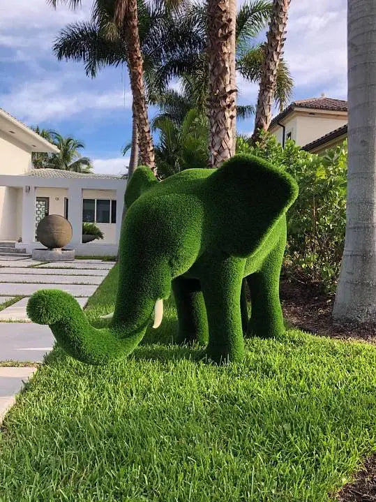 Elephant Grass Topiary Collection