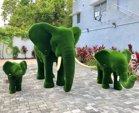 Elephant Grass Topiary Collection
